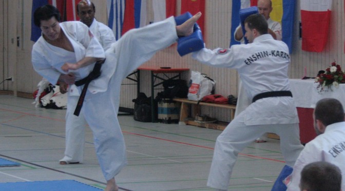 Europäisches Enshin Karate Seminar 2014